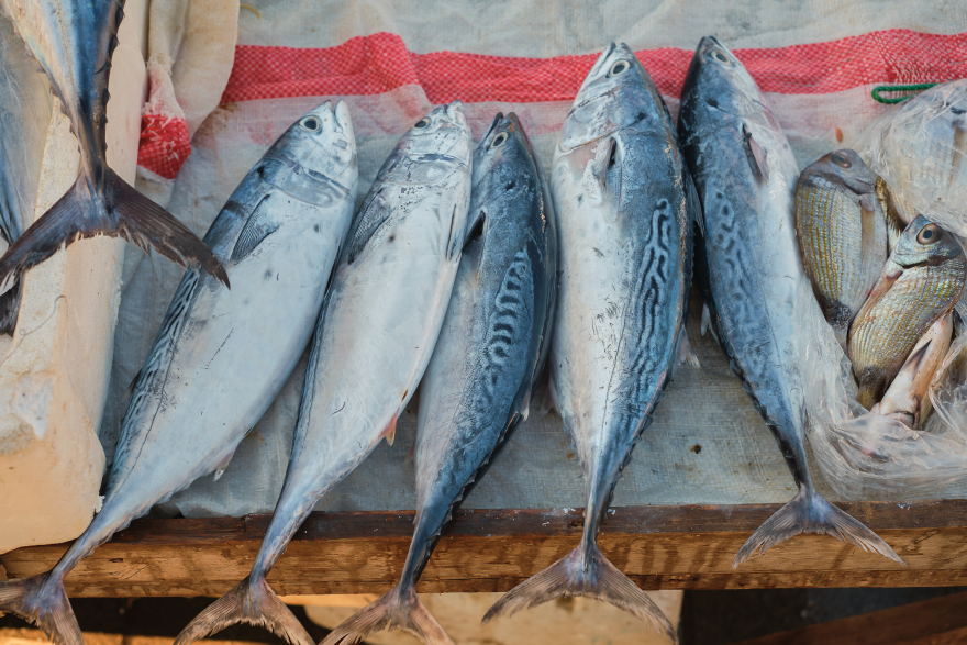 Collagen peptides benefits: fish on a stall.