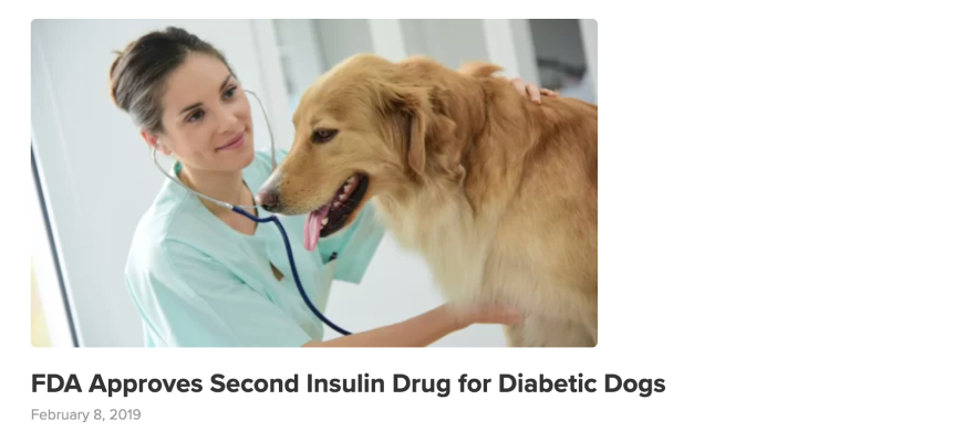 Peptides for dogs: NASC article headline.