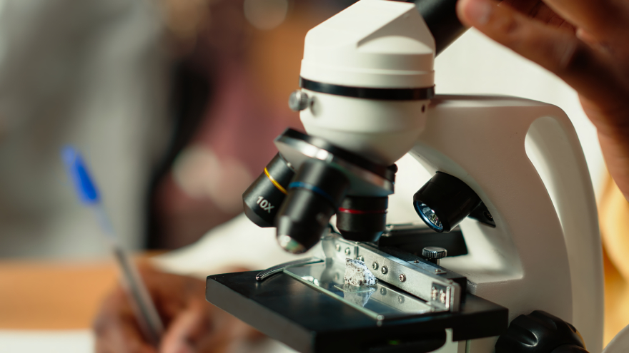 Peptides for dogs: lab tools.
