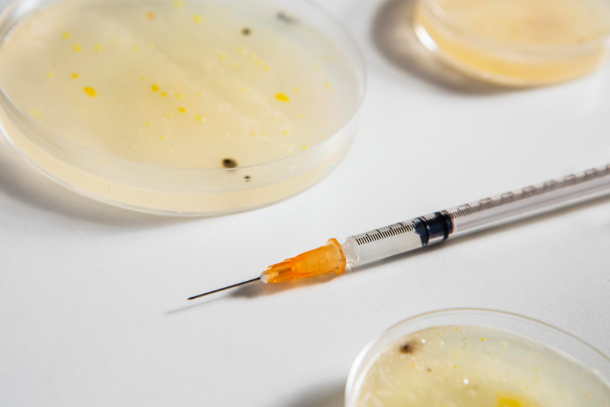 Peptides for dogs: testing pans near a syringe.