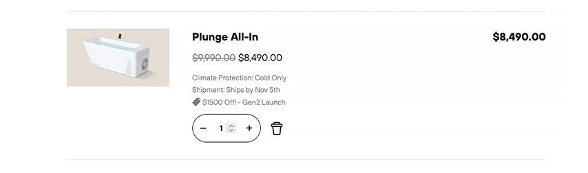 Plunge Christmas sale: adding a product to your cart on Plunge.